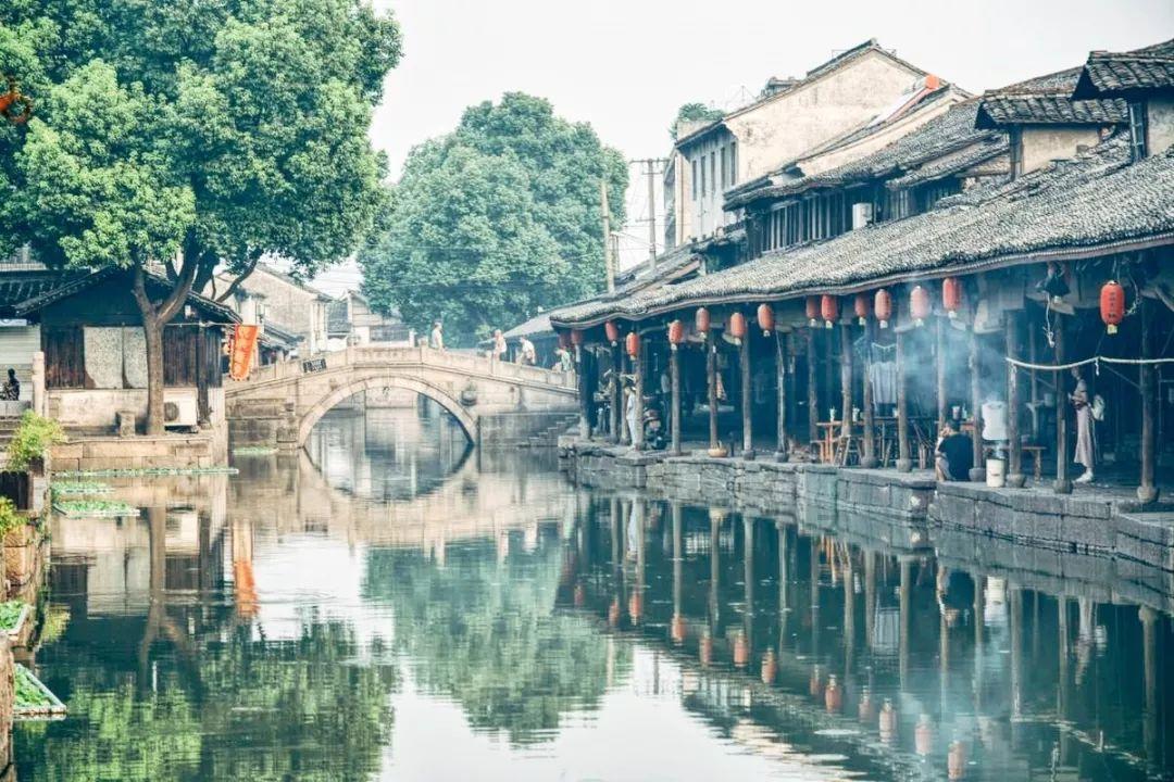 拯救昆虫群